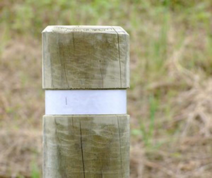 Bande réflecto blanche avec rainure sur potelet bois 